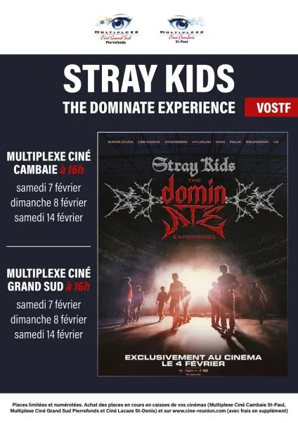 Stray Kids: The Dominate Experience