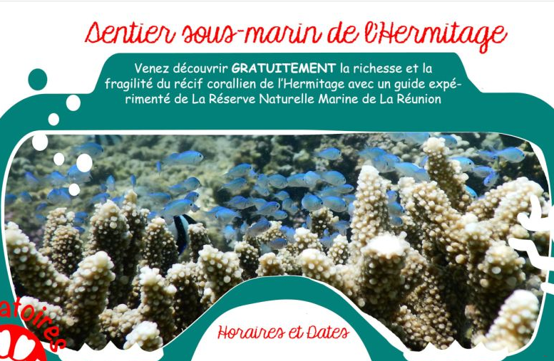 Affiche SENTIER SOUS-MARIN