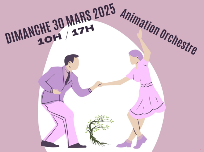 Affiche Déjeuner Dansant 3è Jeunesse