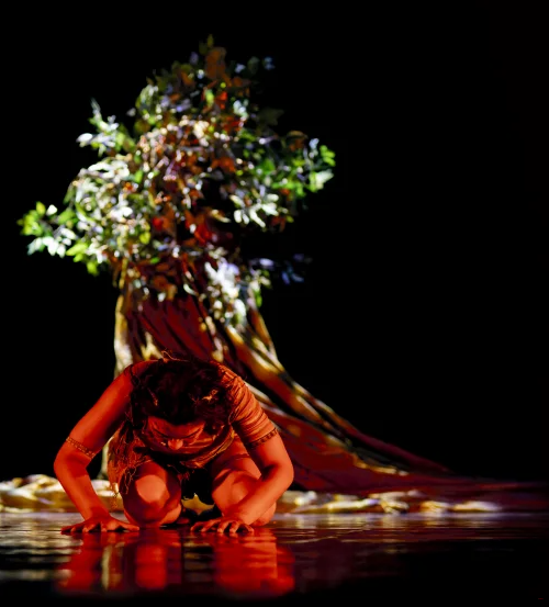 Affiche COMPAGNIE LÉ LA – L’ENFANT DE L’ARBRE