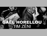 Gaël Horellou et Tim Zéni