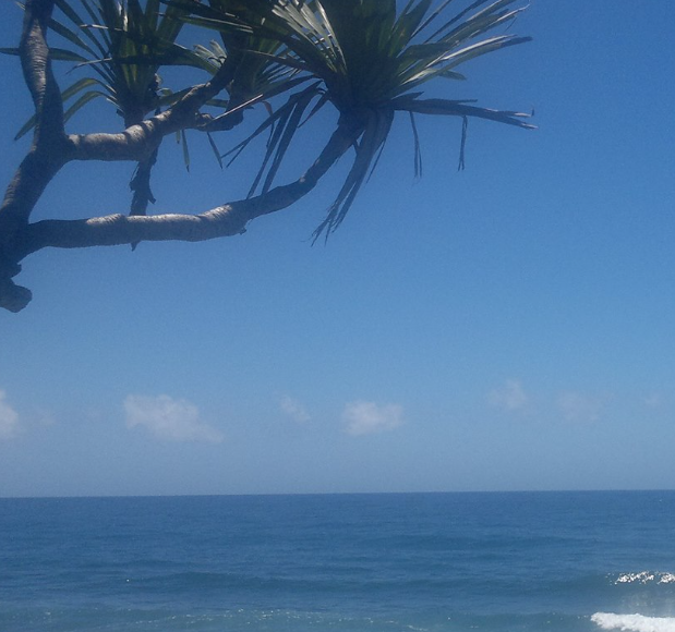 MARATHON DES BLESSÉS DES ARMÉES