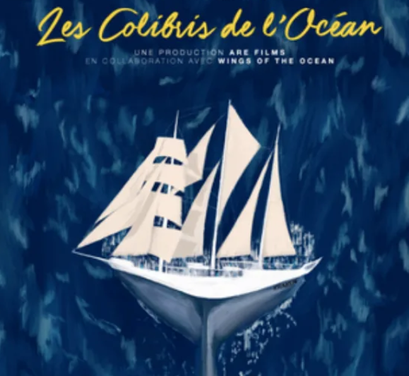 Affiche Les Colibris de l’Océan