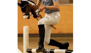 CONCOURS HOBBY HORSE