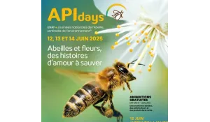 APIDAYS