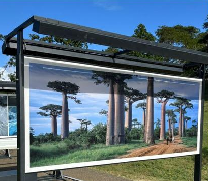 Affiche EXPOSITION PHOTO – NATURE