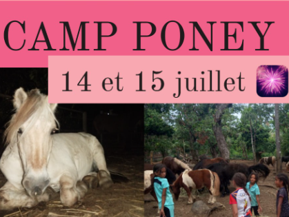 Affiche CAMP PONEY