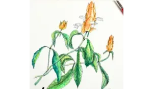 ATELIER D’AQUARELLE