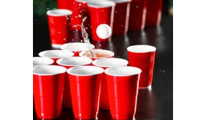THE BEERPONG