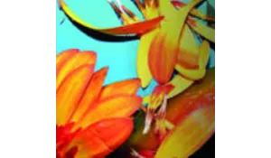 VERNISSAGE GUILLAUME HAURICE