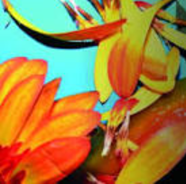 Affiche VERNISSAGE GUILLAUME HAURICE