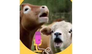 KARAOKÉ À LA FERME OTENTIK