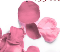 NEÏLLA BOUTIQUE ÉPHÉMÈRE