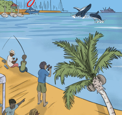 LES RENDEZ-VOUS DES BALEINES