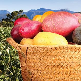 FÊTE DE LA POMME DE TERRE