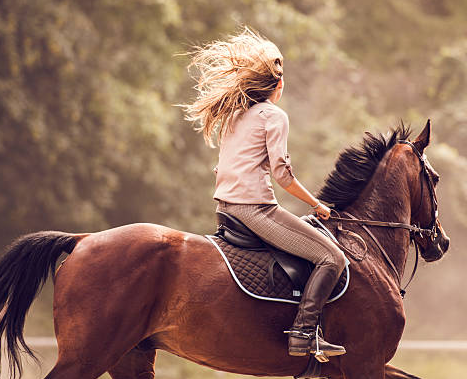 FÊTE DU CHEVAL