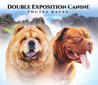DOUBLE EXPOSITION CANINE