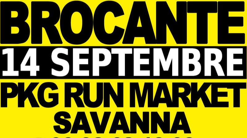 BROCANTE DE SAVANNA
