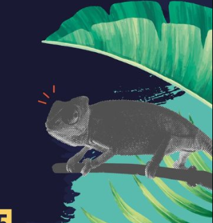 FESTIVAL RÉUN'ÎLE CARREFOUR