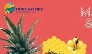 Marché du terroir et des savoir-faire