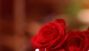 Dîner dansant de la saint-valentin