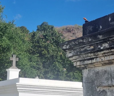 Balade-spectacle à saint-paul