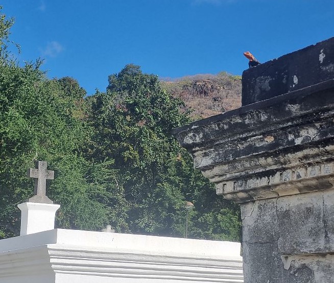 Affiche Balade-spectacle à saint-paul