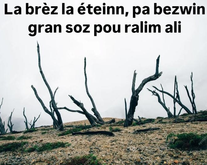 Balade-spectacle au piton oranger