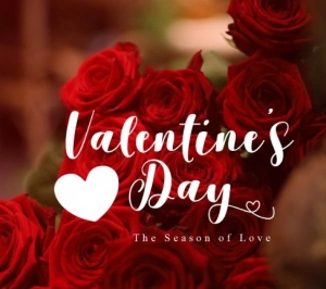 Dîner dansant saint-valentin