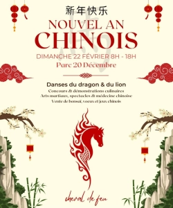 Nouvel an chinois à saint-leu