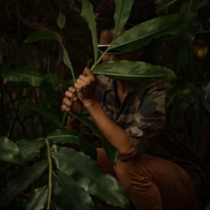 Gran Bassin Kormouran