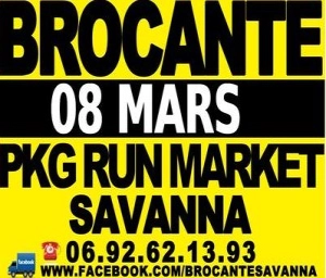 Brocante de savanna