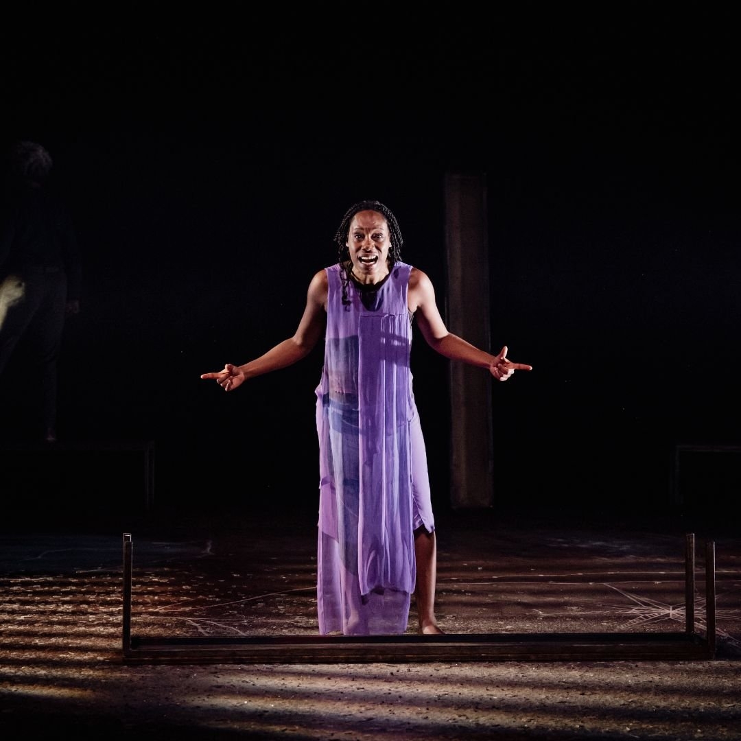 Affiche La chute infinie des soleils