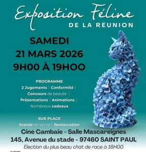Exposition féline