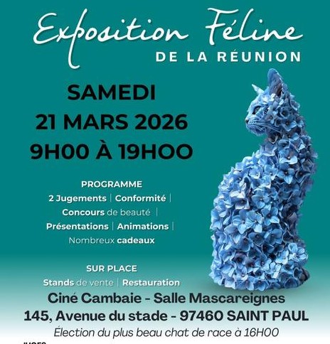 Affiche Exposition féline
