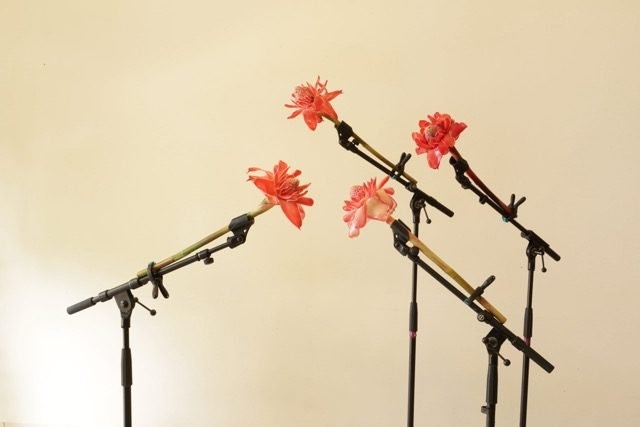 Affiche ROUGE BAKOLY