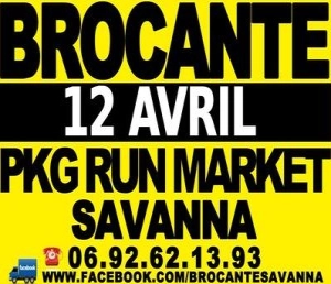 Brocante de savanna 