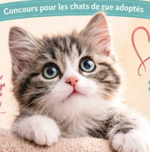 Concours cha'mour 2026