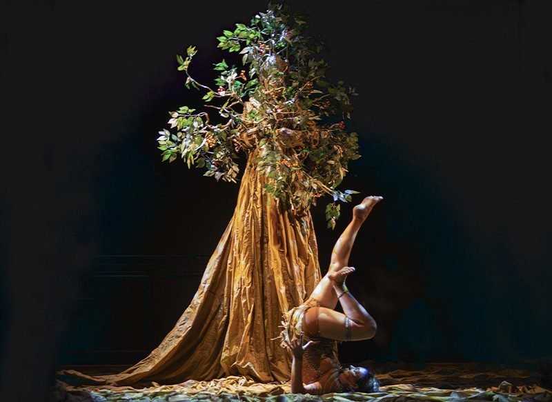 L’enfant de l’Arbre