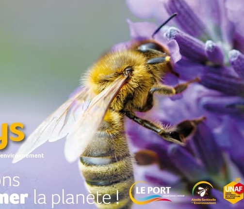 Apidays au port