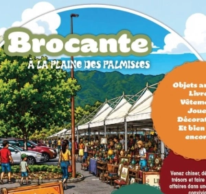 Brocante à la plaine des palmistes
