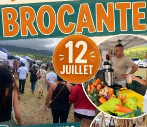 Brocante à sainte-rose