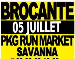 Brocante de savanna
