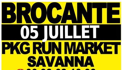 Brocante de savanna