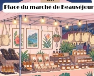 Marché de nuit