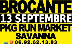 Brocante de savanna - saint-paul