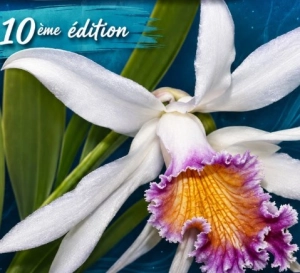 Exposition d'orchidées