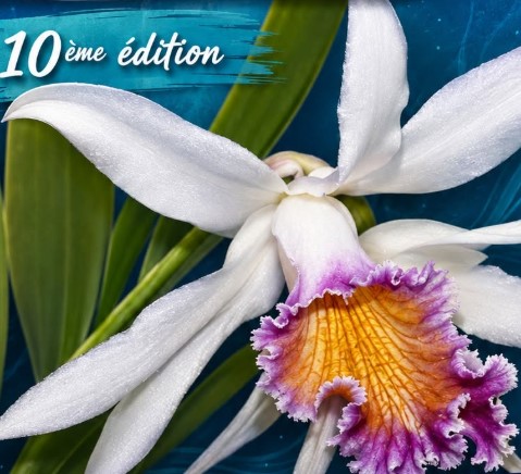 Exposition d'orchidées