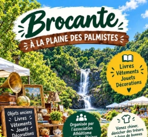 Brocante à la plaine des palmistes