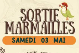 Affiche SORTIE MARMAILLES
